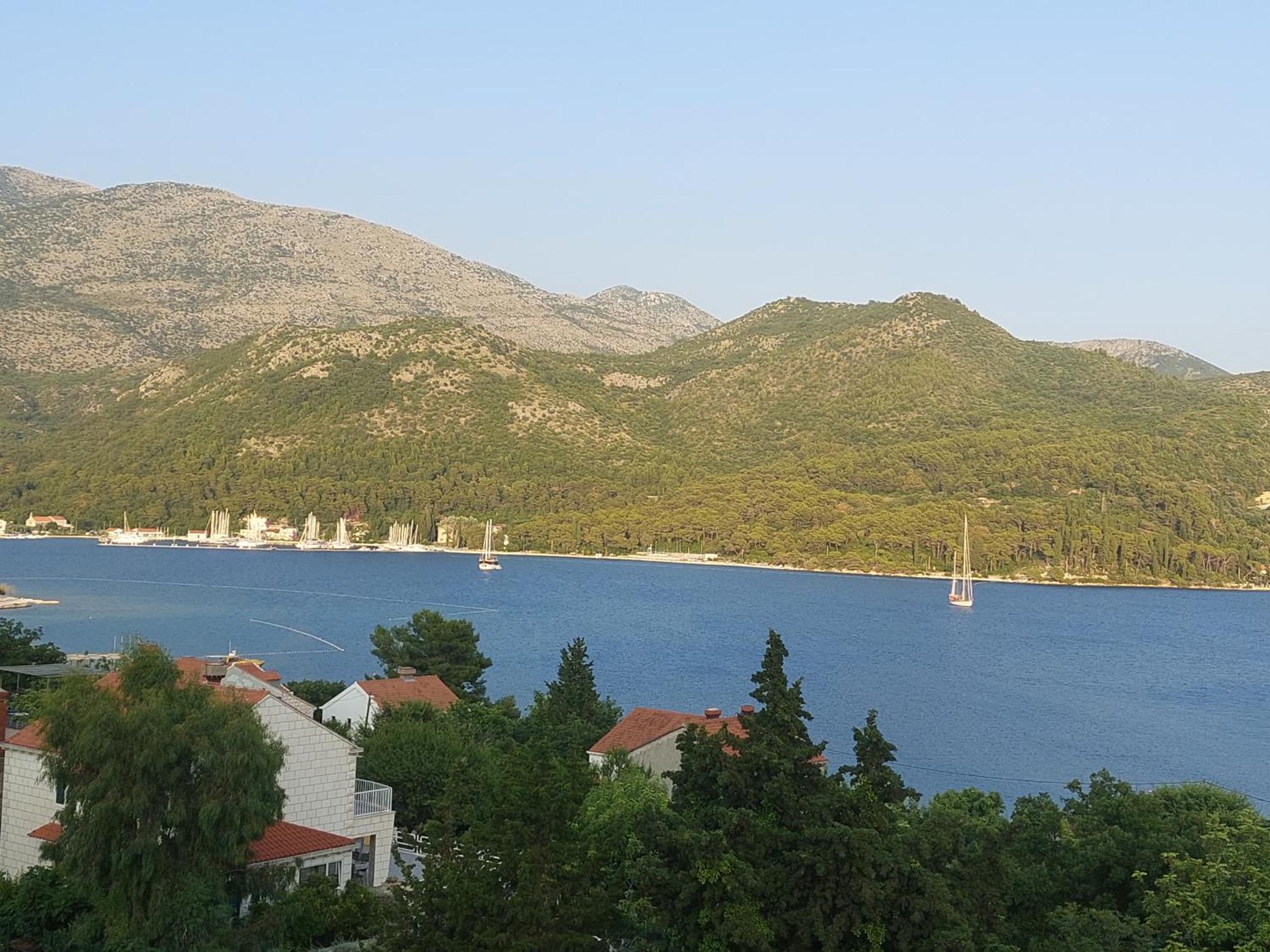 Slano Bay Apartments Dış mekan fotoğraf